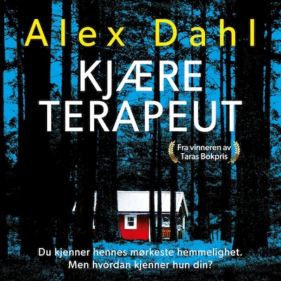 Kjære terapeut