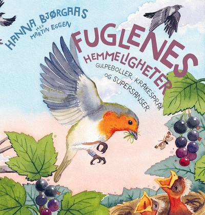 Fuglenes hemmeligheter – lydbok – Hanna Bjørgaas, Martin Eggen