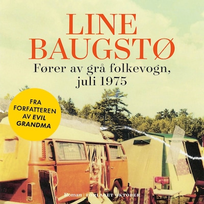 Fører av grå folkevogn, juli 1975