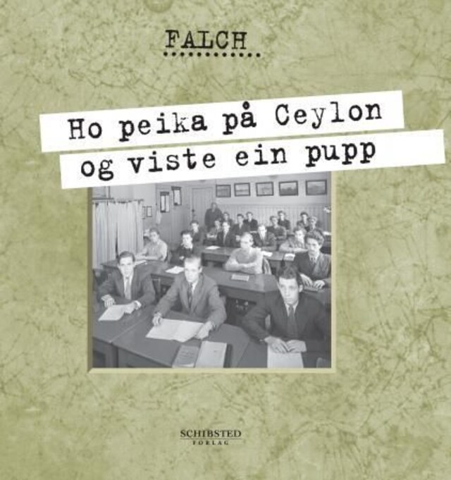 Bokomslag for Ho peika på Ceylon og viste ein pupp