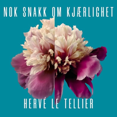 Nok snakk om kjærlighet – lydbok – Hervé Le Tellier