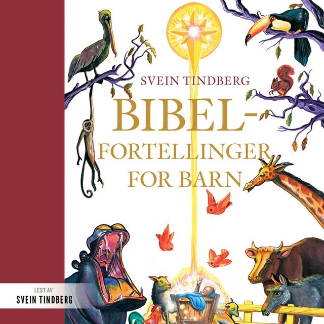 Bokomslag for Bibelfortellinger for barn