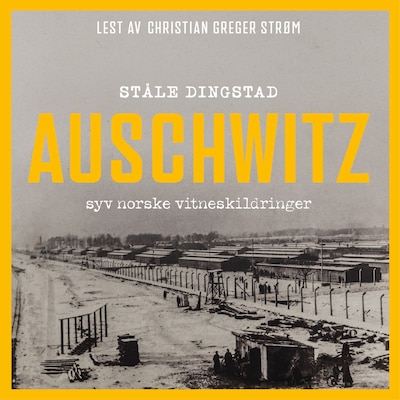Auschwitz – lydbok – Ståle Dingstad