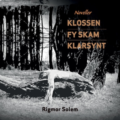 Tre noveller – lydbok – Rigmor Solem