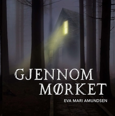Gjennom mørket – lydbok – Eva Marí Amundsen