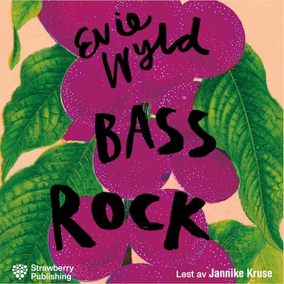 Bass Rock