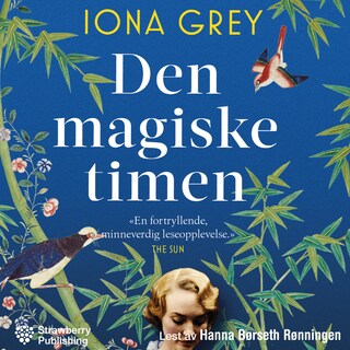 Den magiske timen bookCoverFor
