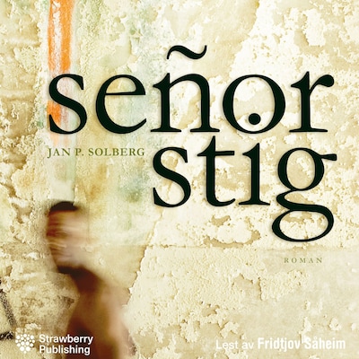 Señor Stig