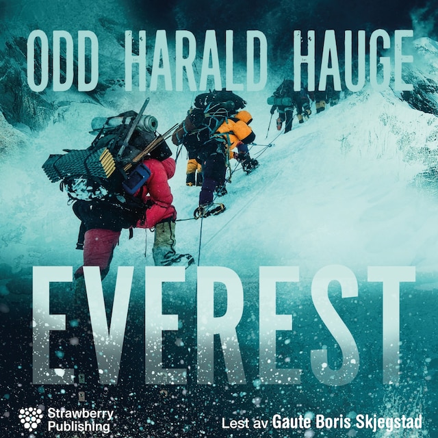 Bokomslag for Everest