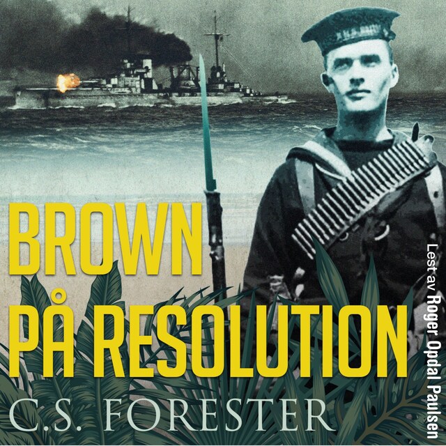 Bokomslag for Brown på Resolution