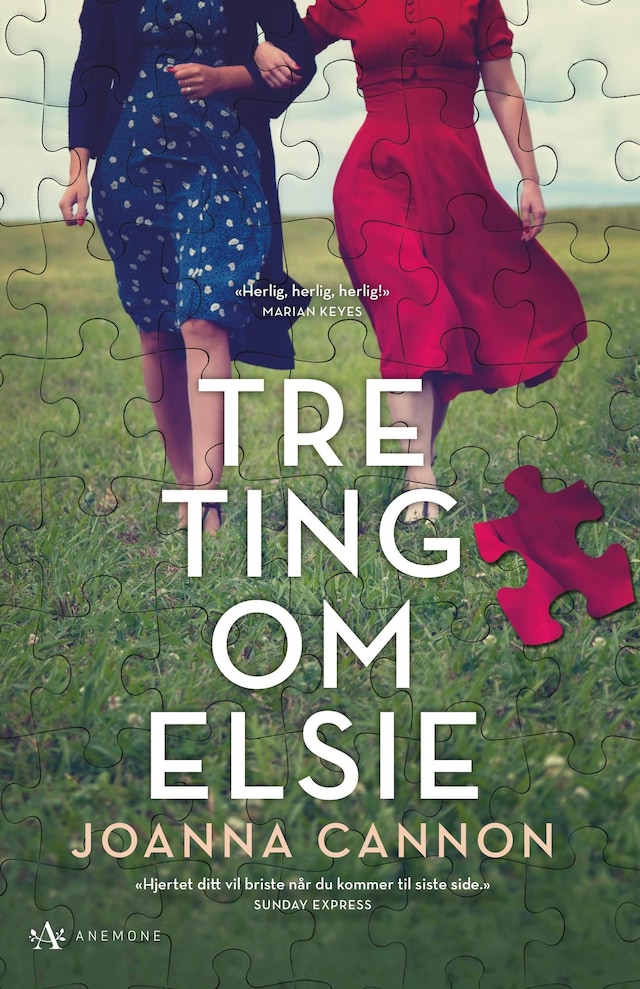 Bokomslag for Tre ting om Elsie