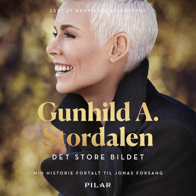 Bokomslag for Det store bildet