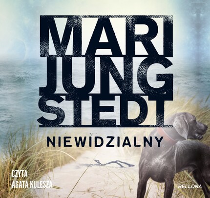 Niewidzialny bookCoverFor