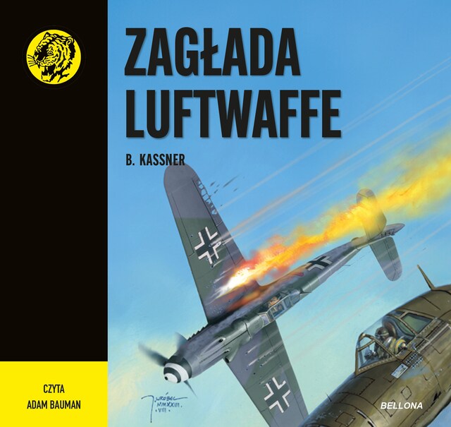 Okładka książki dla Zagłada Luftwaffe