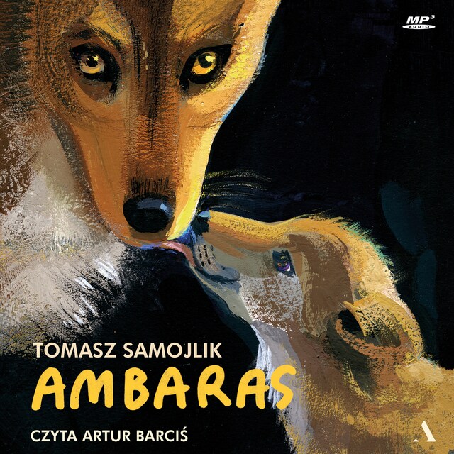 Copertina del libro per Ambaras