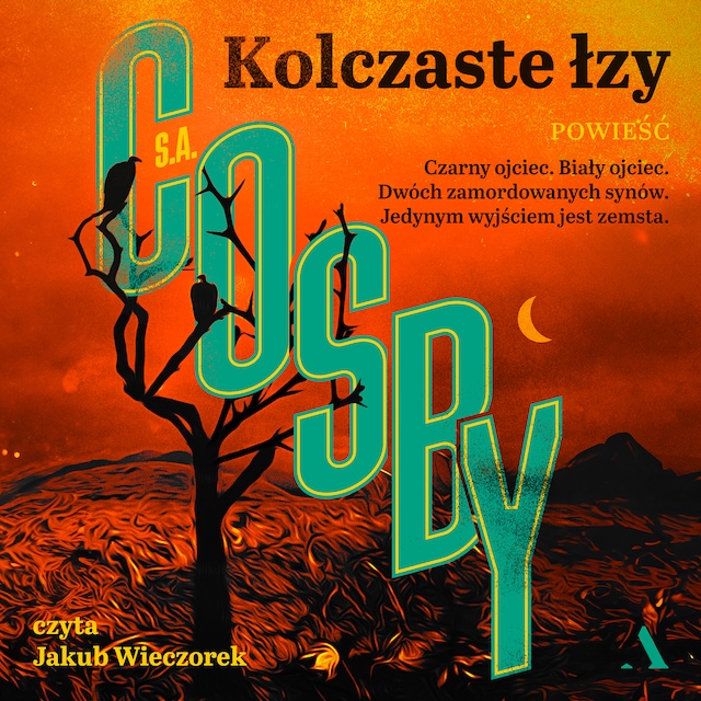 Book cover for Kolczaste łzy