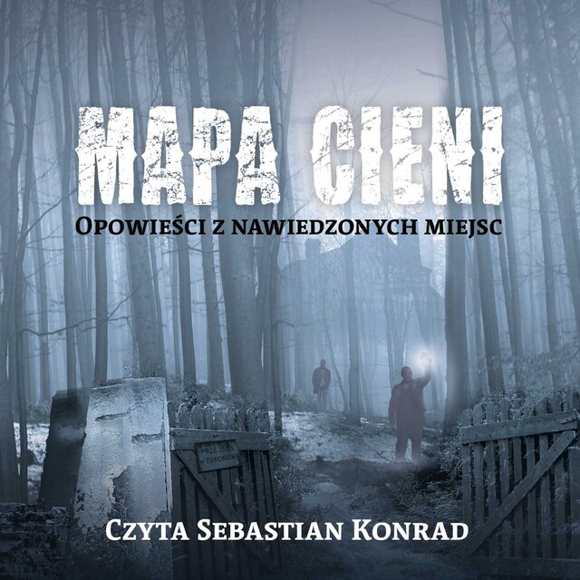 Book cover for Mapa cieni