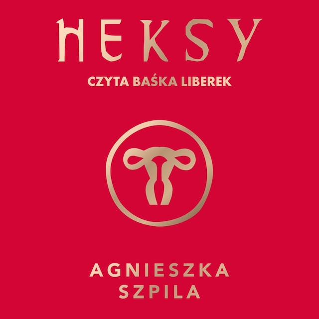 Book cover for Heksy