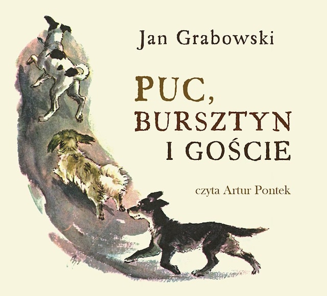 Book cover for Puc, Bursztyn i goście