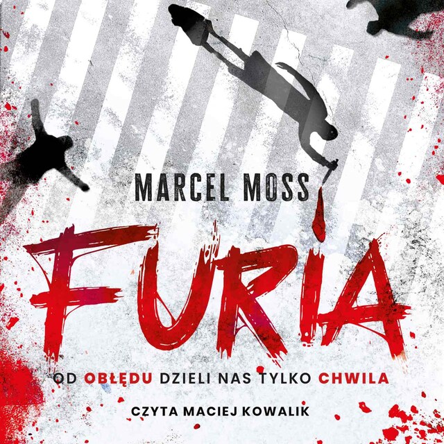 Book cover for Furia