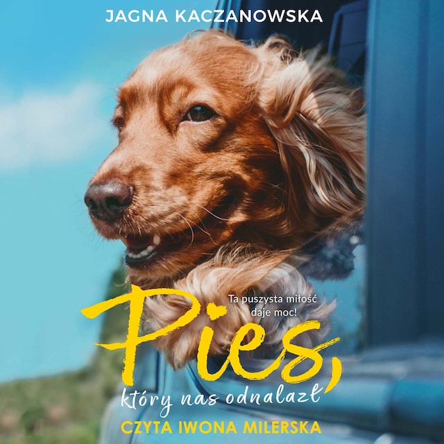 Book cover for Pies, który nas odnalazł