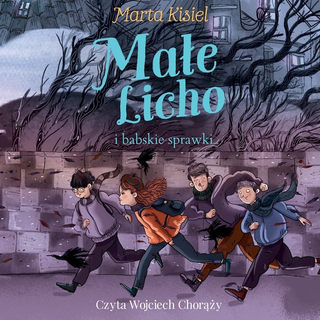 Book cover for Małe Licho i babskie sprawki