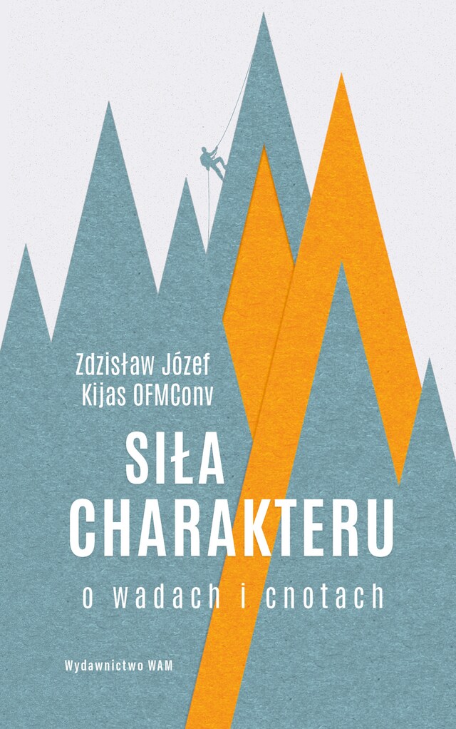 Book cover for Życiowe decyzje