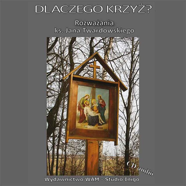 Boekomslag van Dlaczego Krzyż?