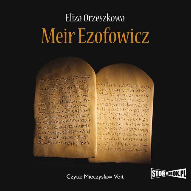 Book cover for Meir Ezofowicz