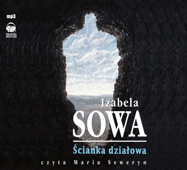 Book cover for Ścianka działowa