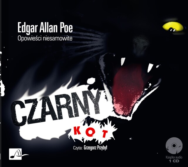 Book cover for Czarny kot