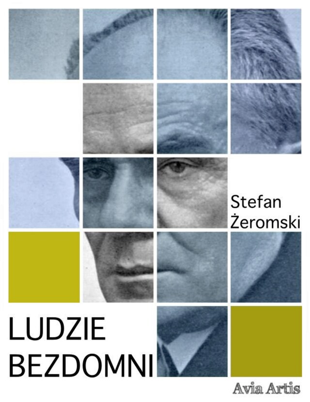Book cover for Ludzie bezdomni