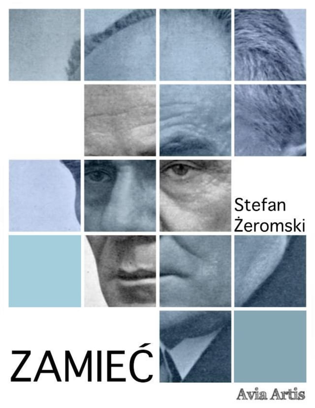 Book cover for Zamieć
