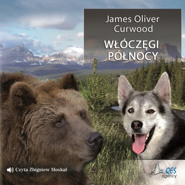 Couverture de livre pour Włóczęgi Północy