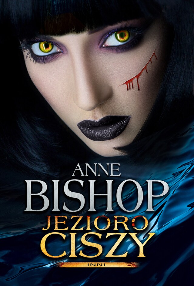 Jezioro Ciszy Book cover for Jezioro Ciszy