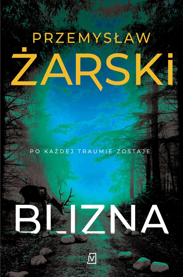 Book cover for Blizna. Seria z Robertem Kreftem