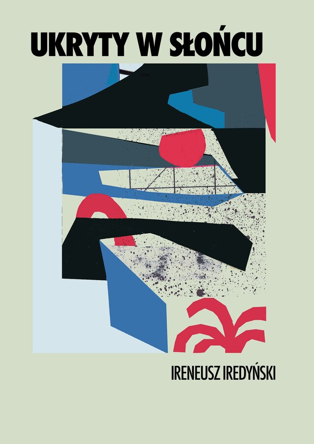 Book cover for Ukryty w słońcu