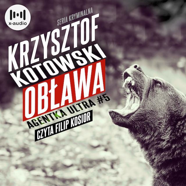 Book cover for Obława