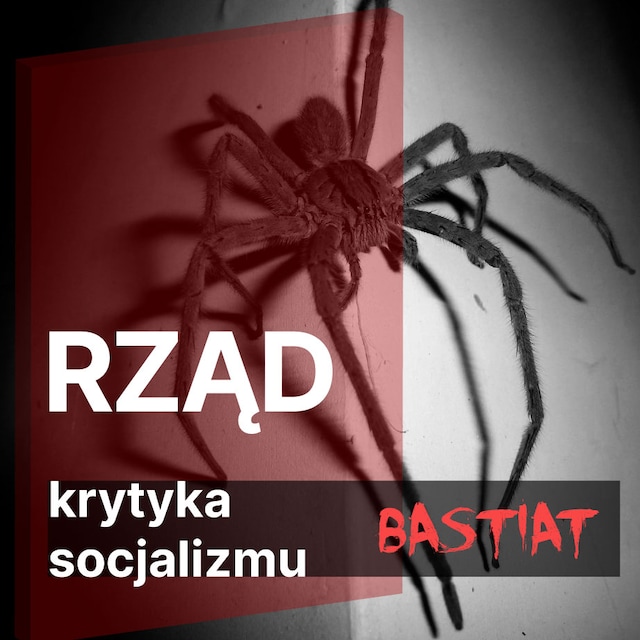 Book cover for Rząd