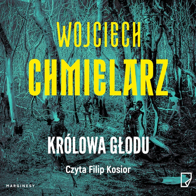 Book cover for Królowa Głodu