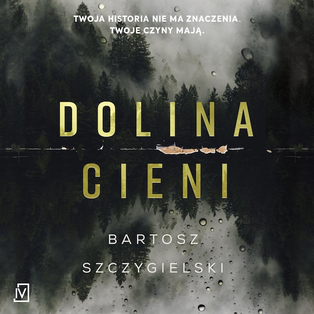 Book cover for Dolina cieni