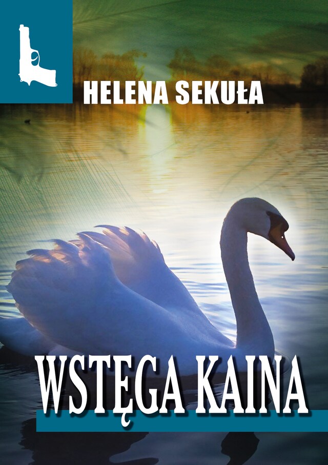 Book cover for Wstęga Kaina
