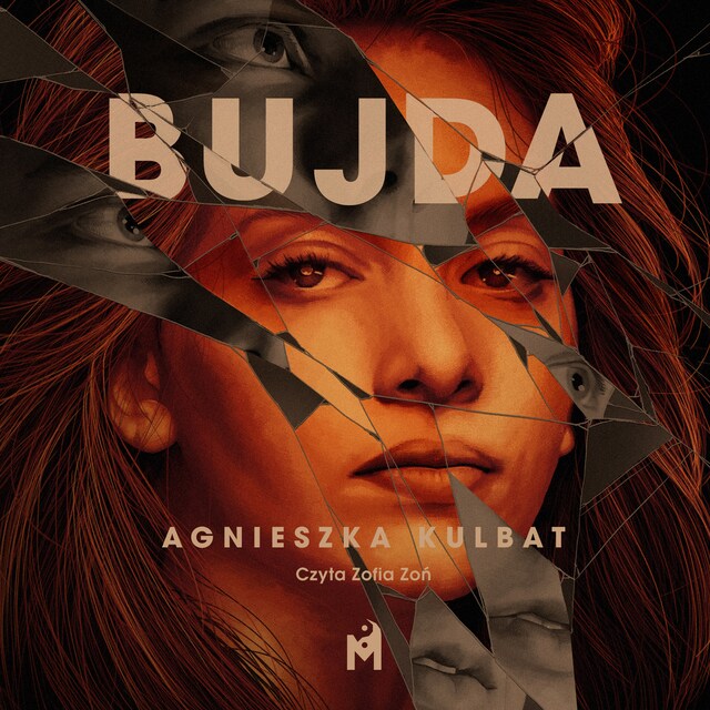 Buchcover für Bujda