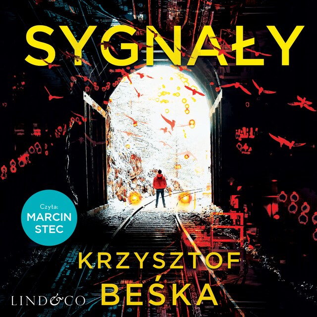 Portada de libro para Sygnały