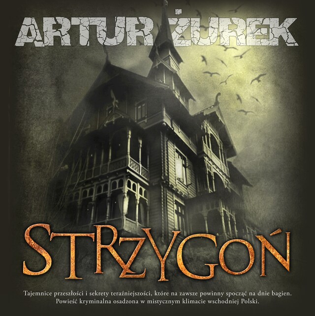 Book cover for Strzygoń