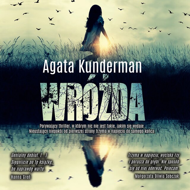 Book cover for Wróżda