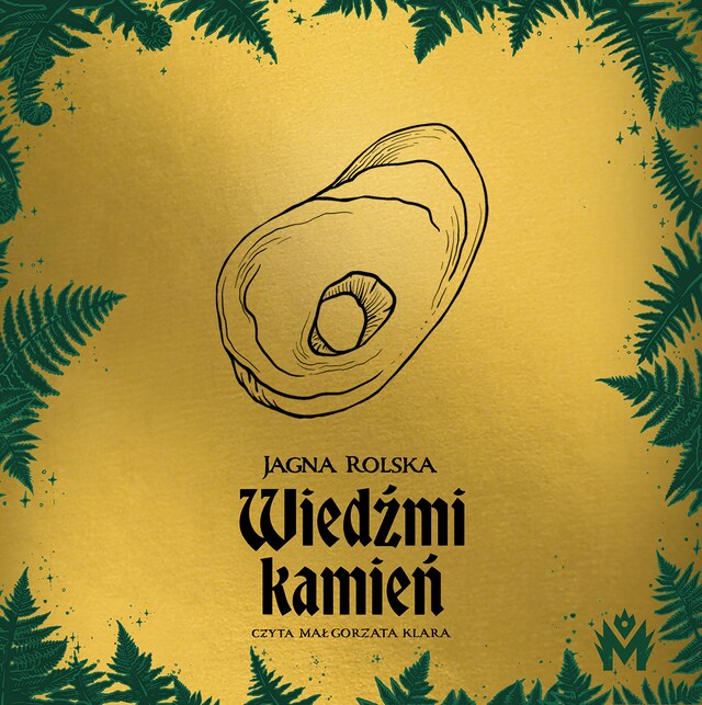 Book cover for Wiedźmi kamień