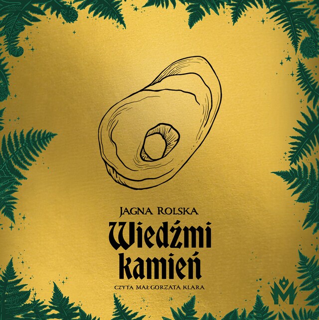 Wiedźmi kamień Bokomslag for Wiedźmi kamień