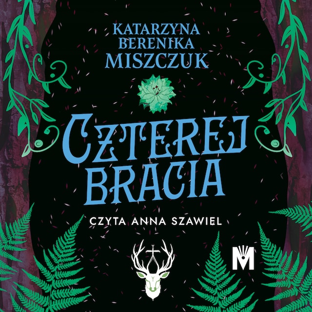 Book cover for Czterej bracia