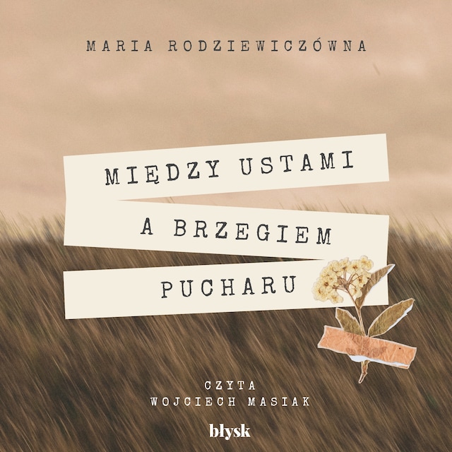 Book cover for Między ustami a brzegiem pucharu